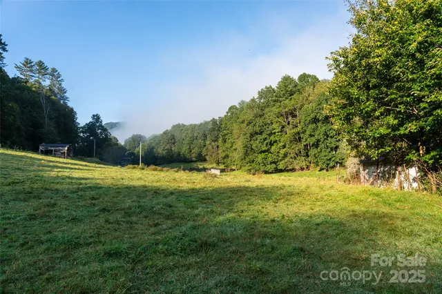 a view of a lake with a tree
