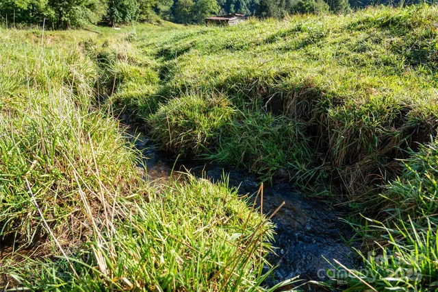 a view of a chairs and table in the garden