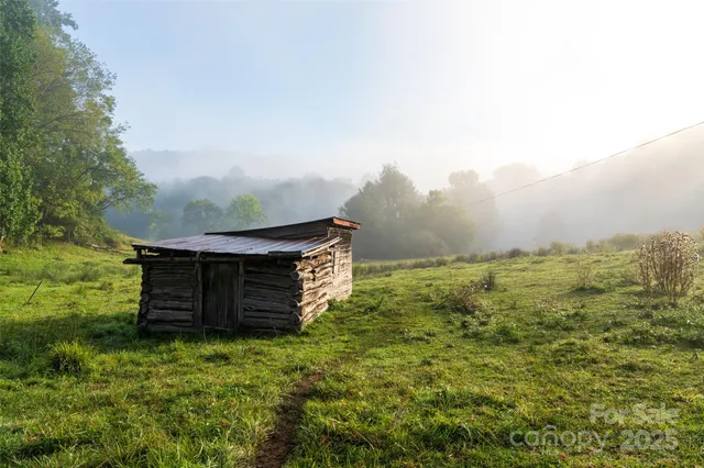 a view of a pathway in a yard