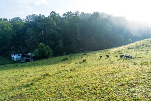 a backyard of a house with lots of green space and mountain view