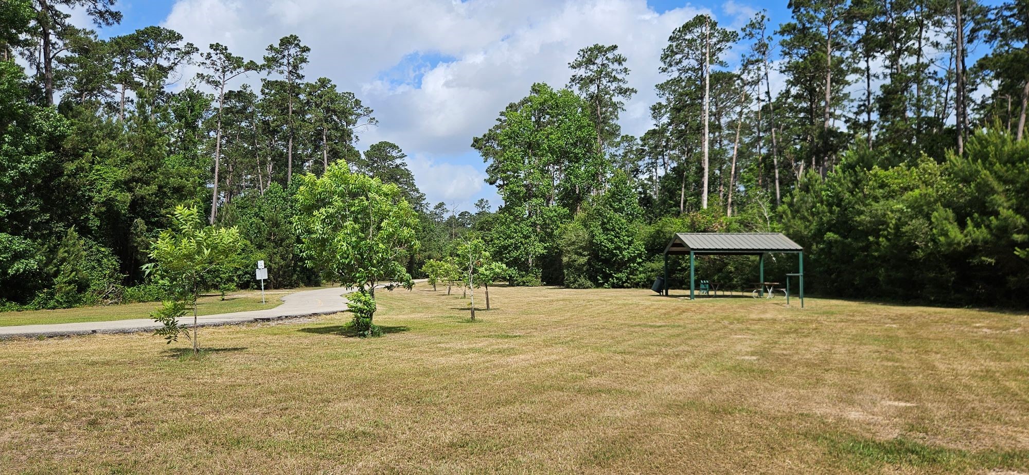 25515 Mount Switchback Court Spring, TX 77373 - Photo 25 of 25
