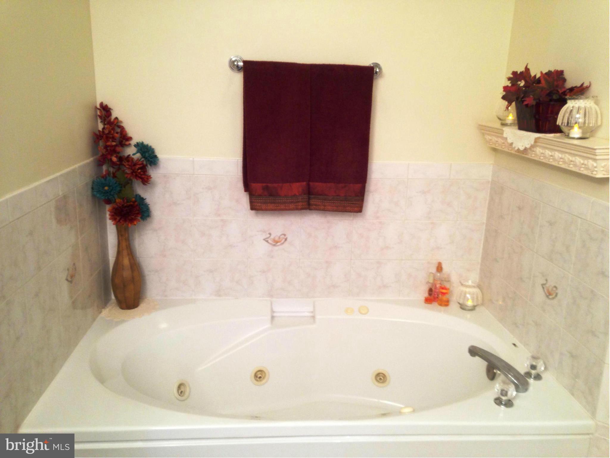 18 Jumpgate Loop Elkton, MD 21921 - Photo 20 of 29 Soaking tub