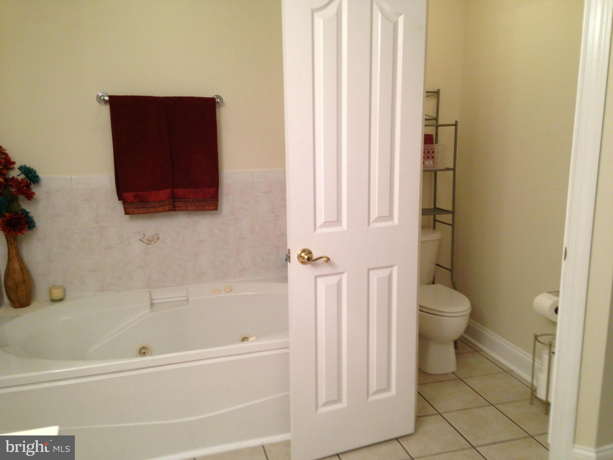 18 Jumpgate Loop Elkton, MD 21921 - Photo 21 of 29 Bath (Master)