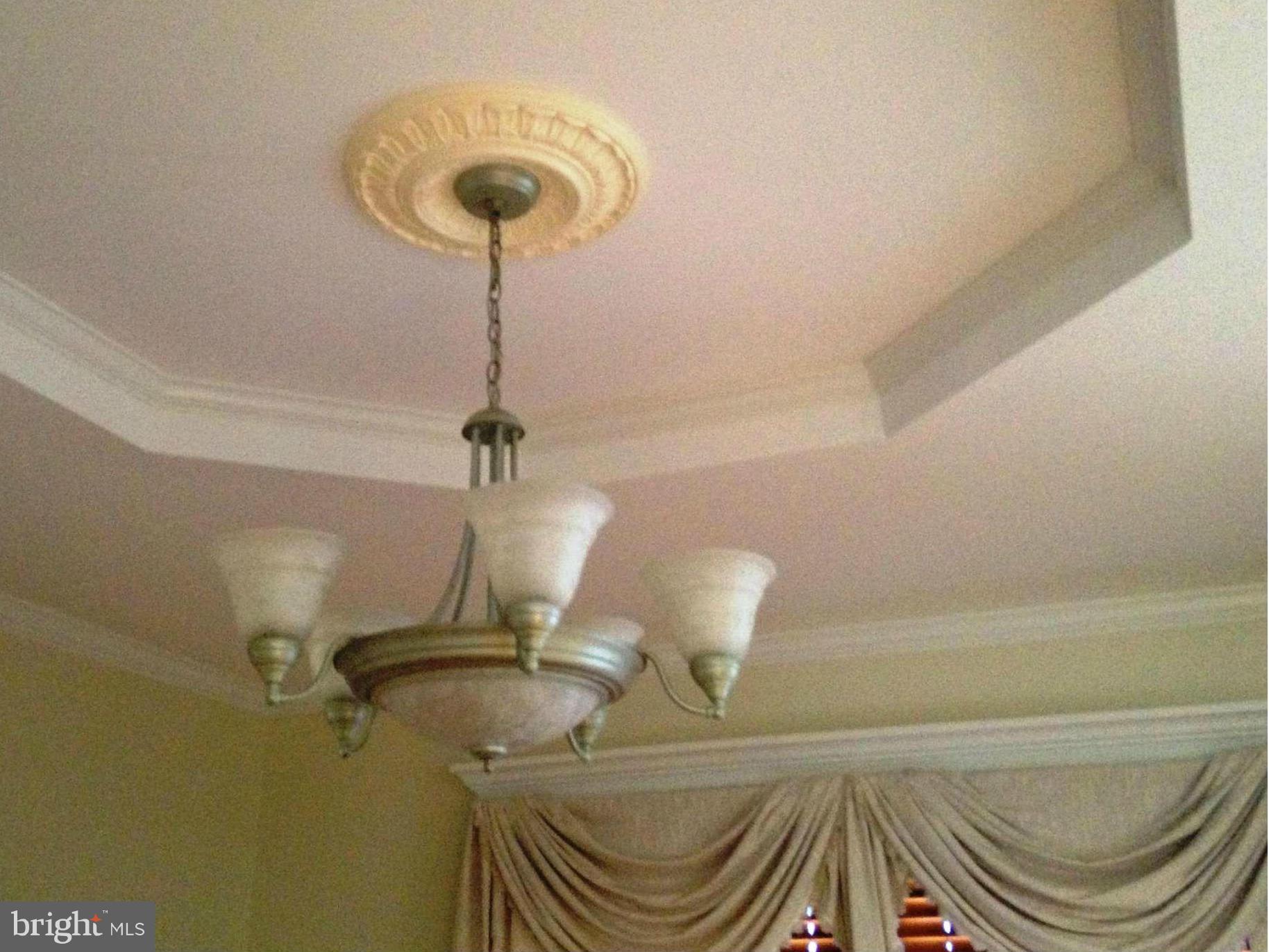 18 Jumpgate Loop Elkton, MD 21921 - Photo 8 of 29 Tray ceiling