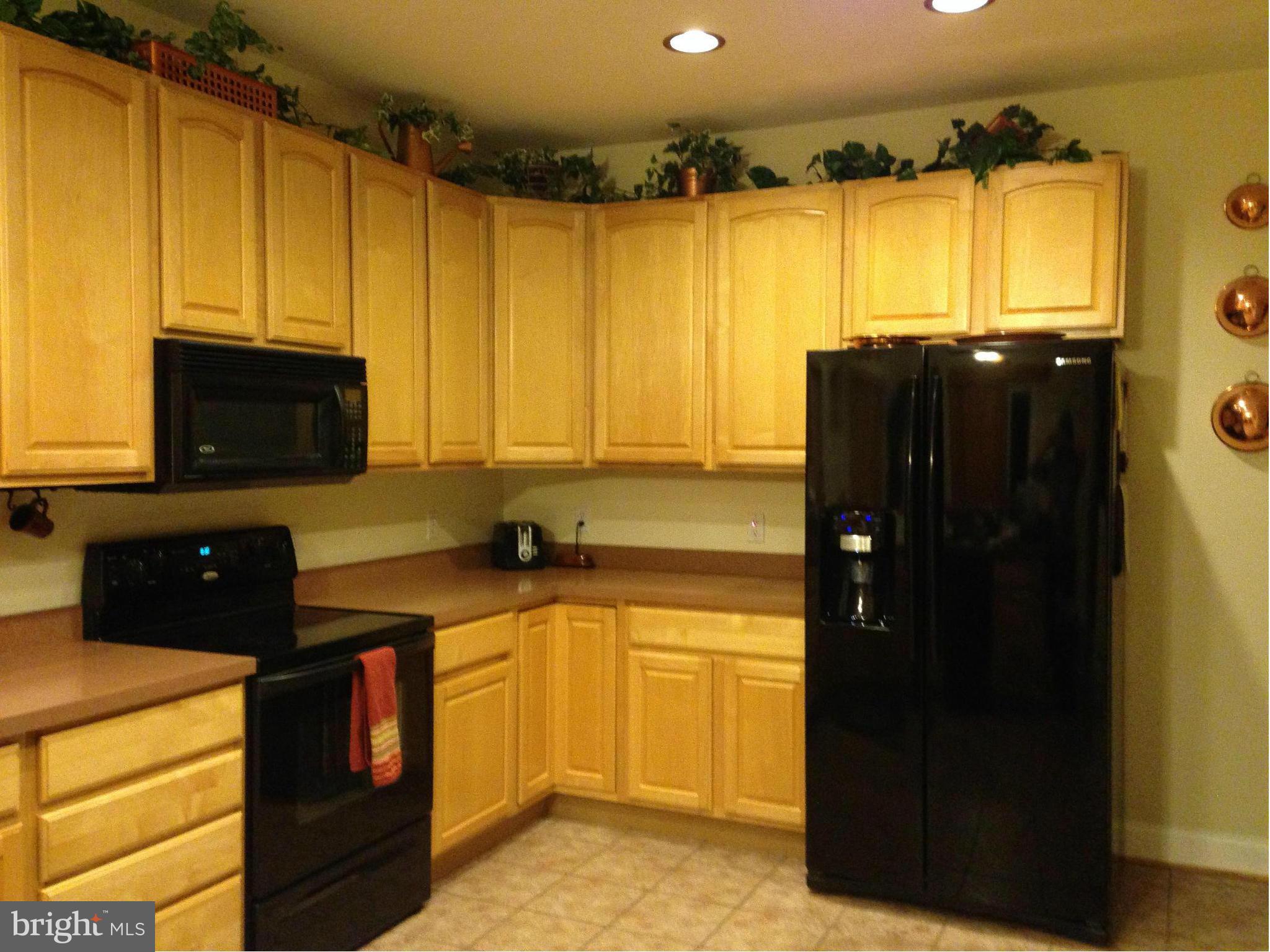 18 Jumpgate Loop Elkton, MD 21921 - Photo 10 of 29 Kitchen