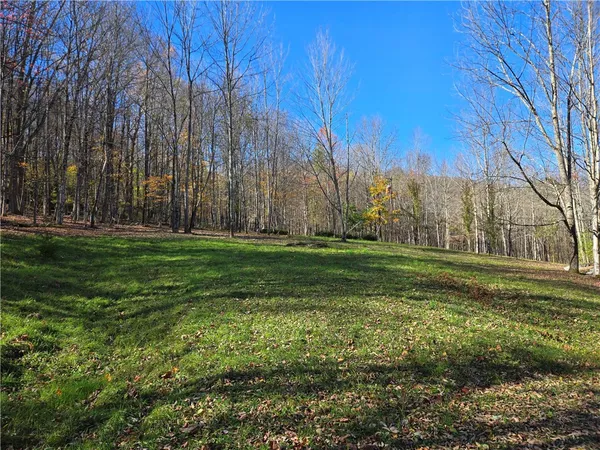 $290,000 | 321 St Michaels Place, Kortright, NY 13739