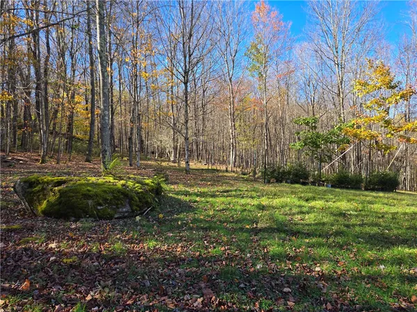 $290,000 | 321 St Michaels Place, Kortright, NY 13739