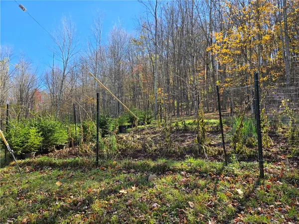 $290,000 | 321 St Michaels Place, Kortright, NY 13739