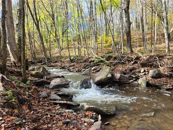 $290,000 | 321 St Michaels Place, Kortright, NY 13739