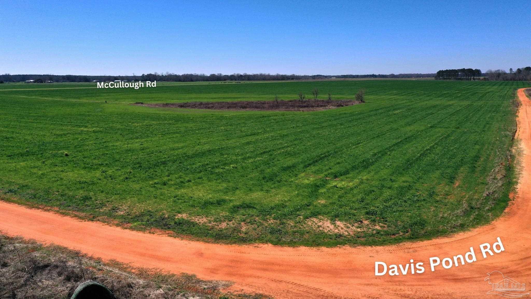 Lot 10 Davis Pond Road Atmore, AL 36502 - Photo 4 of 14