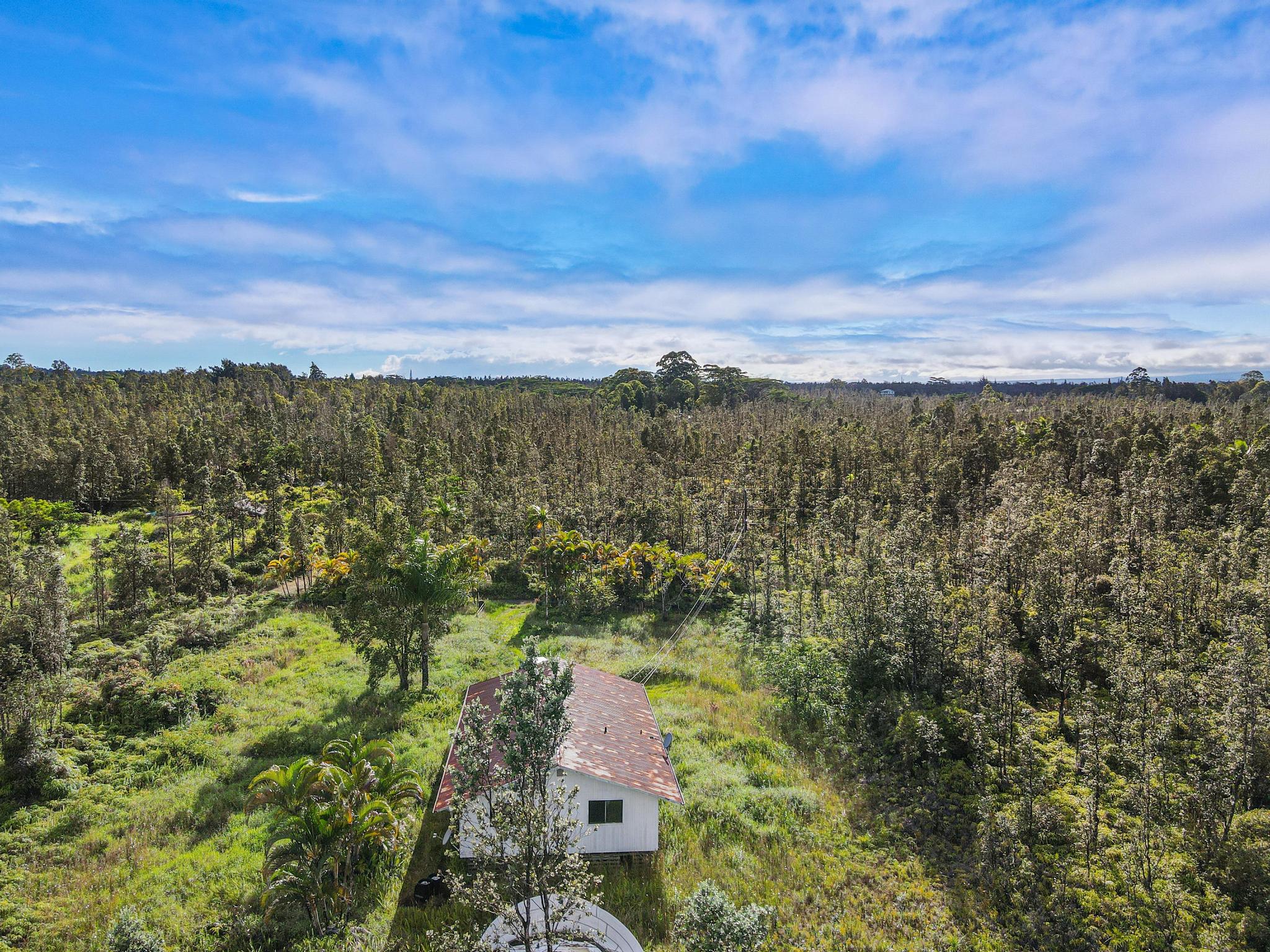 16-2071 Ao Rd Mountain View Pahoa, HI 96778 - Photo 13 of 13 a view of a city with lush green forest