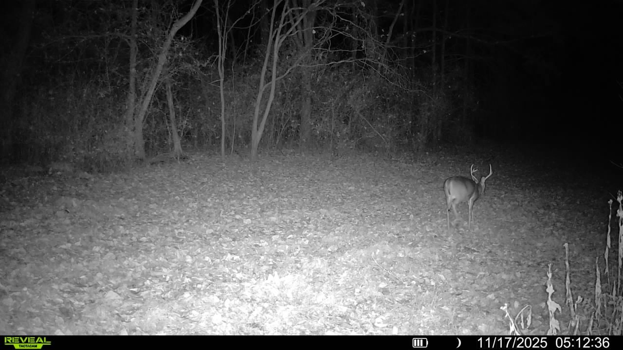 501 Tallent Road Pulaski, TN 38478 - Photo 9 of 23