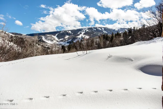 $9,250,000 | 312 Holden Road, Beaver Creek, CO 81620
