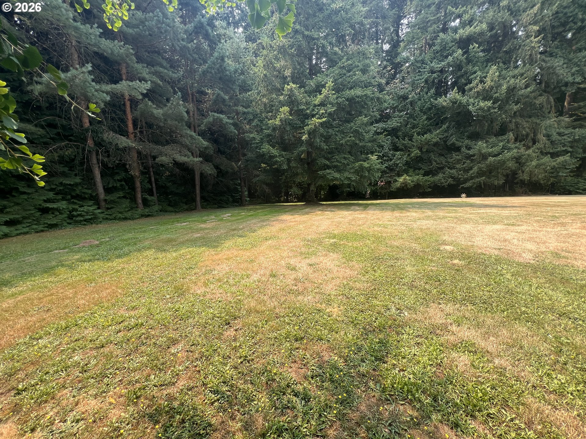 3021 Northwest 199th Street Ridgefield, WA 98642 - Photo 10 of 19 Gallery Image 10