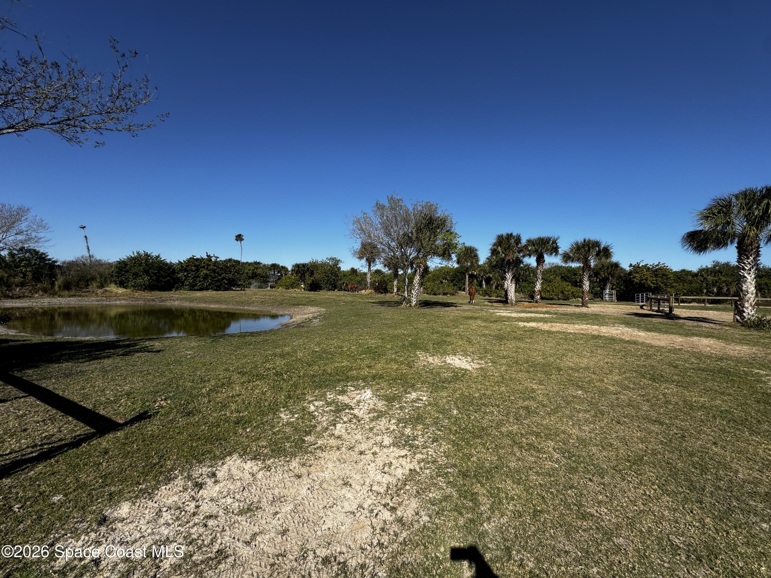 0 Grantline 10 Acres Road Mims, FL 32754 - Photo 14 of 15 IMG_8256