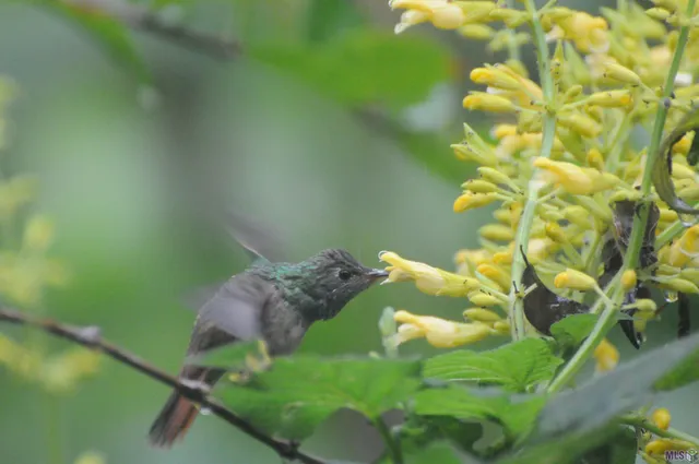 $410,000 | 435 Pecan Drive, St. Gabriel, LA 70776