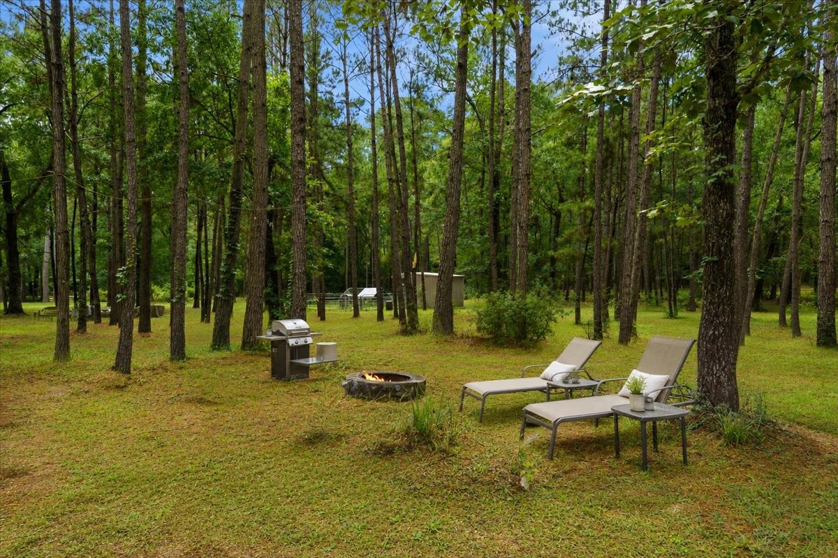 16375 Grand Flower Road Plantersville, TX 77363 - Photo 39 of 50 a view of a lake with a bench and trees