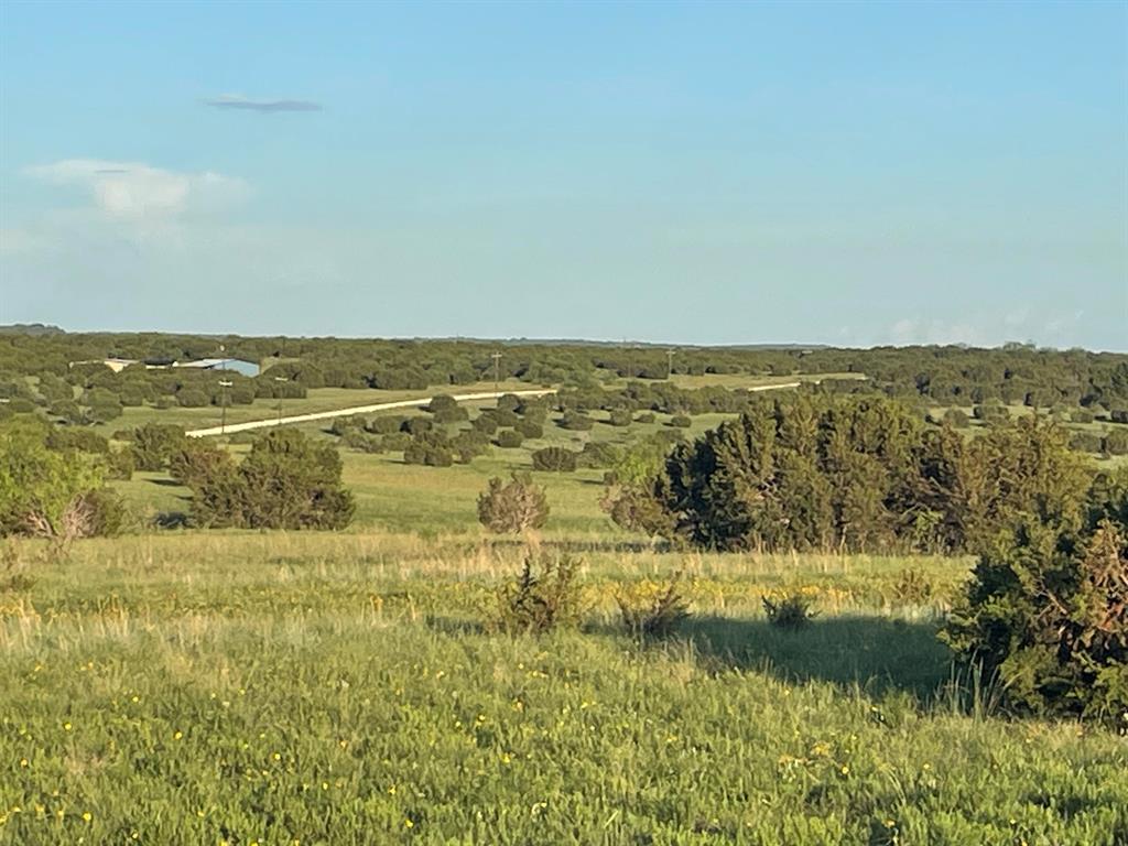 200 Pr 16028 Road Jonesboro, TX 76538 - Photo 13 of 17
