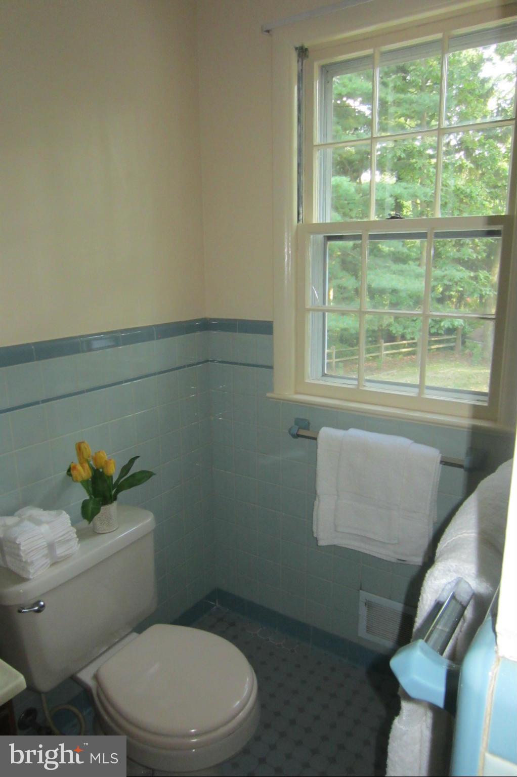 1922 Norvale Road Silver Spring, MD 20906 - Photo 29 of 30 Bath (Master)