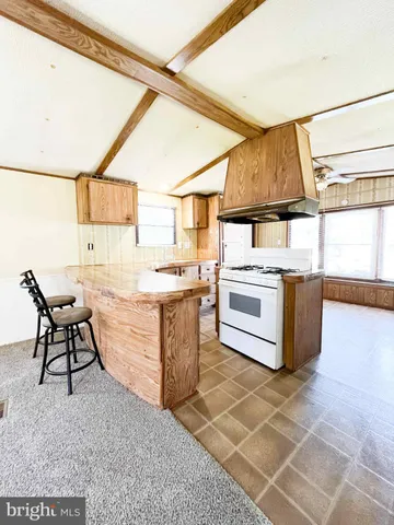 a kitchen with a stove a sink and a refrigerator