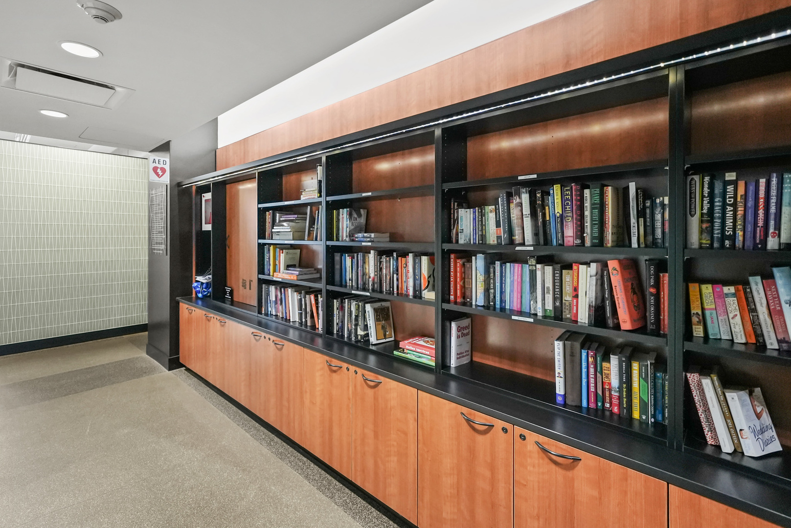 175 East Delaware Place, Unit 7107 Chicago, IL 60611 - Photo 34 of 42 a living room with lots of books