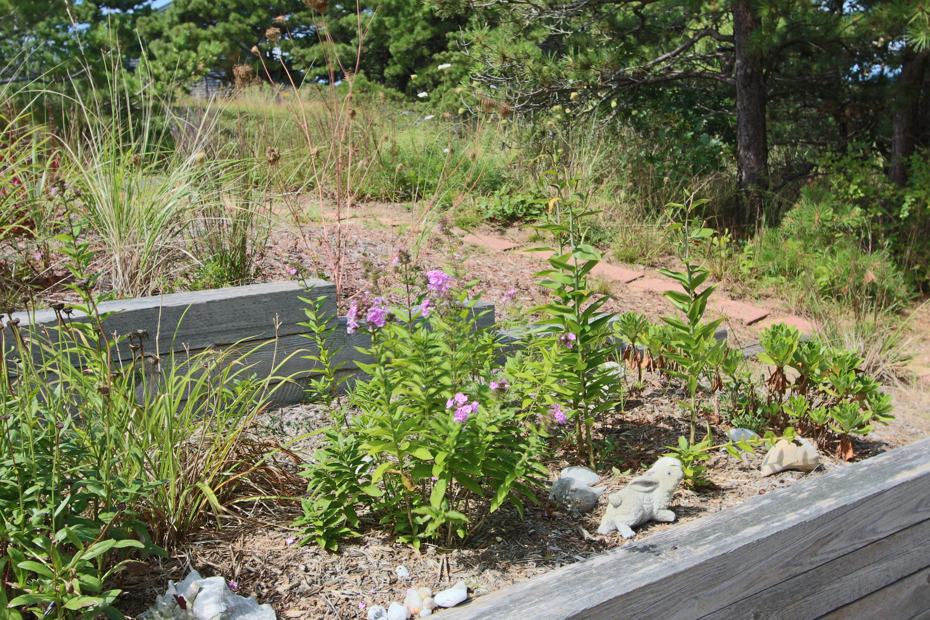 4 High Ridge Rd Extension Truro, MA 02666 - Photo 46 of 46 a view of a garden with plants and large trees