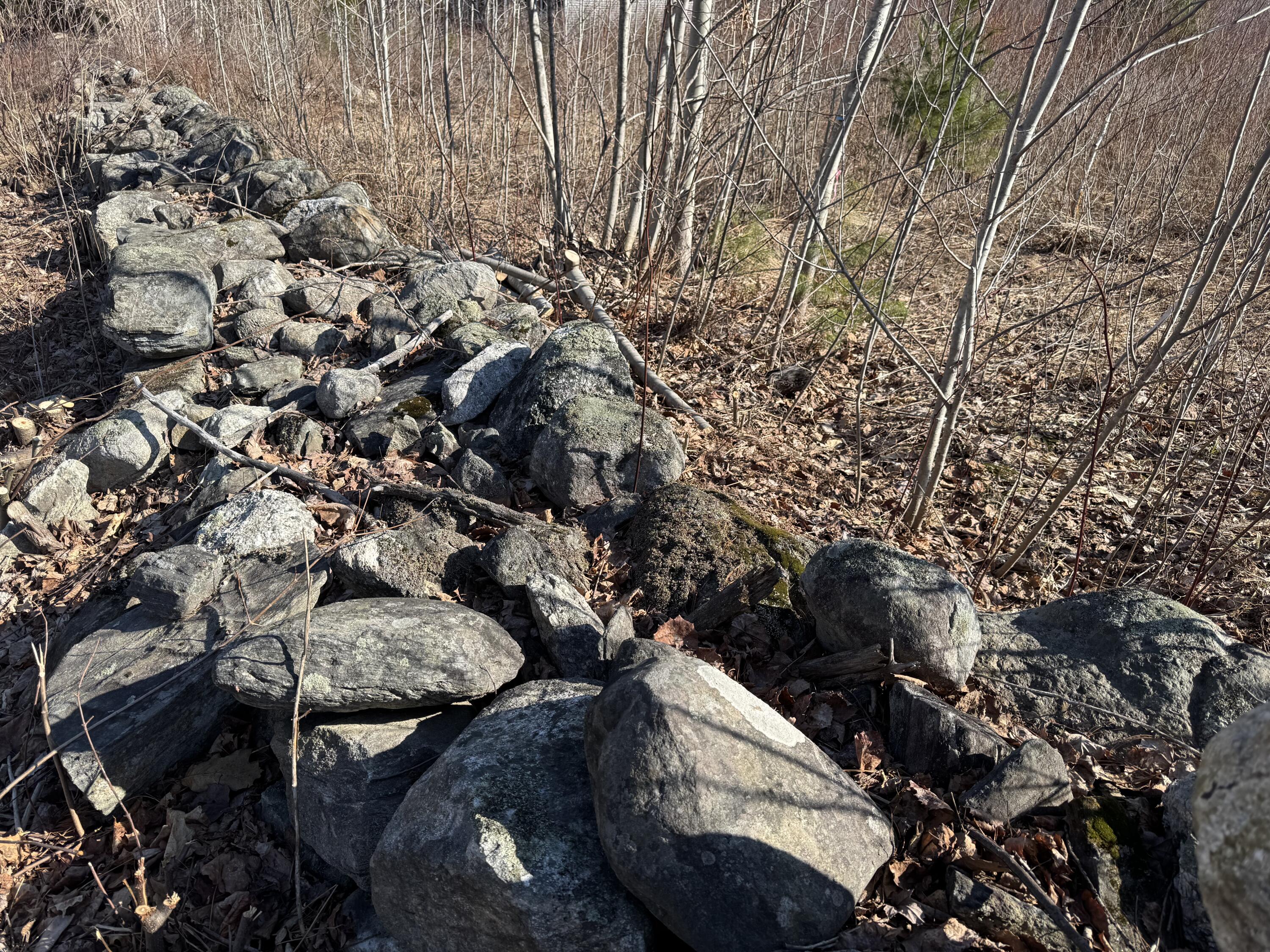 Lot 2 Paris Hill Road Paris, ME 04281 - Photo 5 of 15 IMG_0932