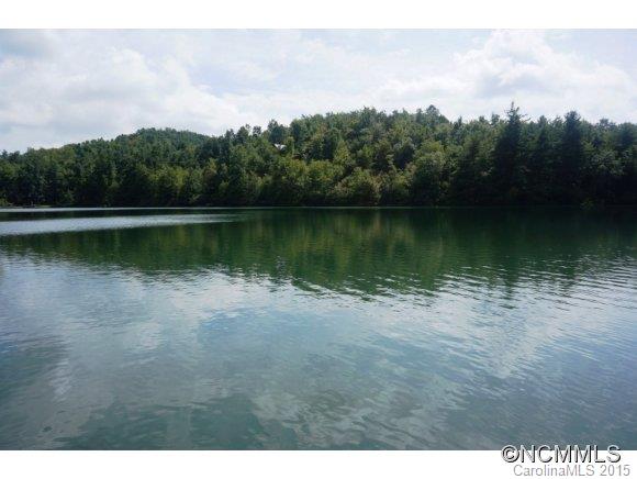 3 Bearbottom Road, Unit 3 Brevard, NC 28712 - Photo 14 of 17