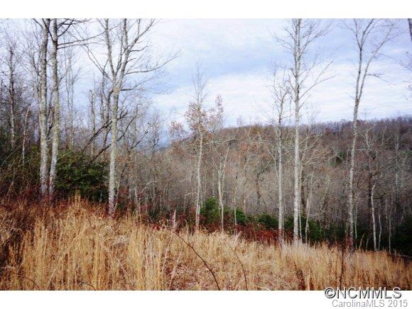 3 Bearbottom Road, Unit 3 Brevard, NC 28712 - Photo 3 of 17