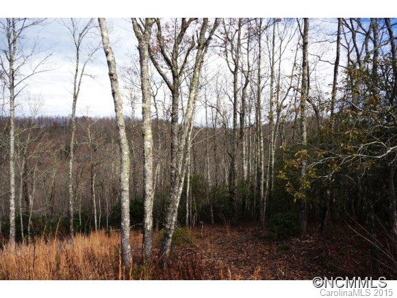 3 Bearbottom Road, Unit 3 Brevard, NC 28712 - Photo 4 of 17
