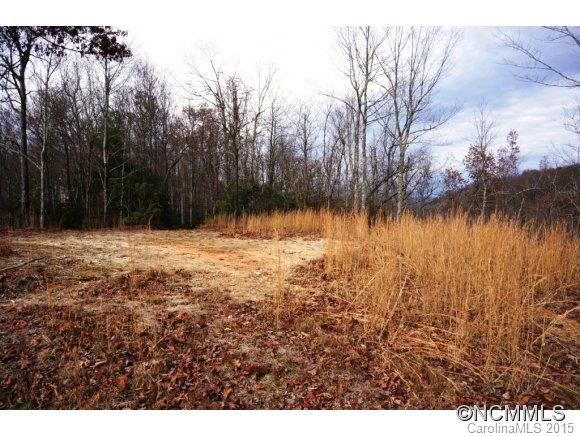 3 Bearbottom Road, Unit 3 Brevard, NC 28712 - Photo 5 of 17