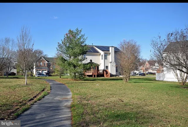a view of a park with large trees