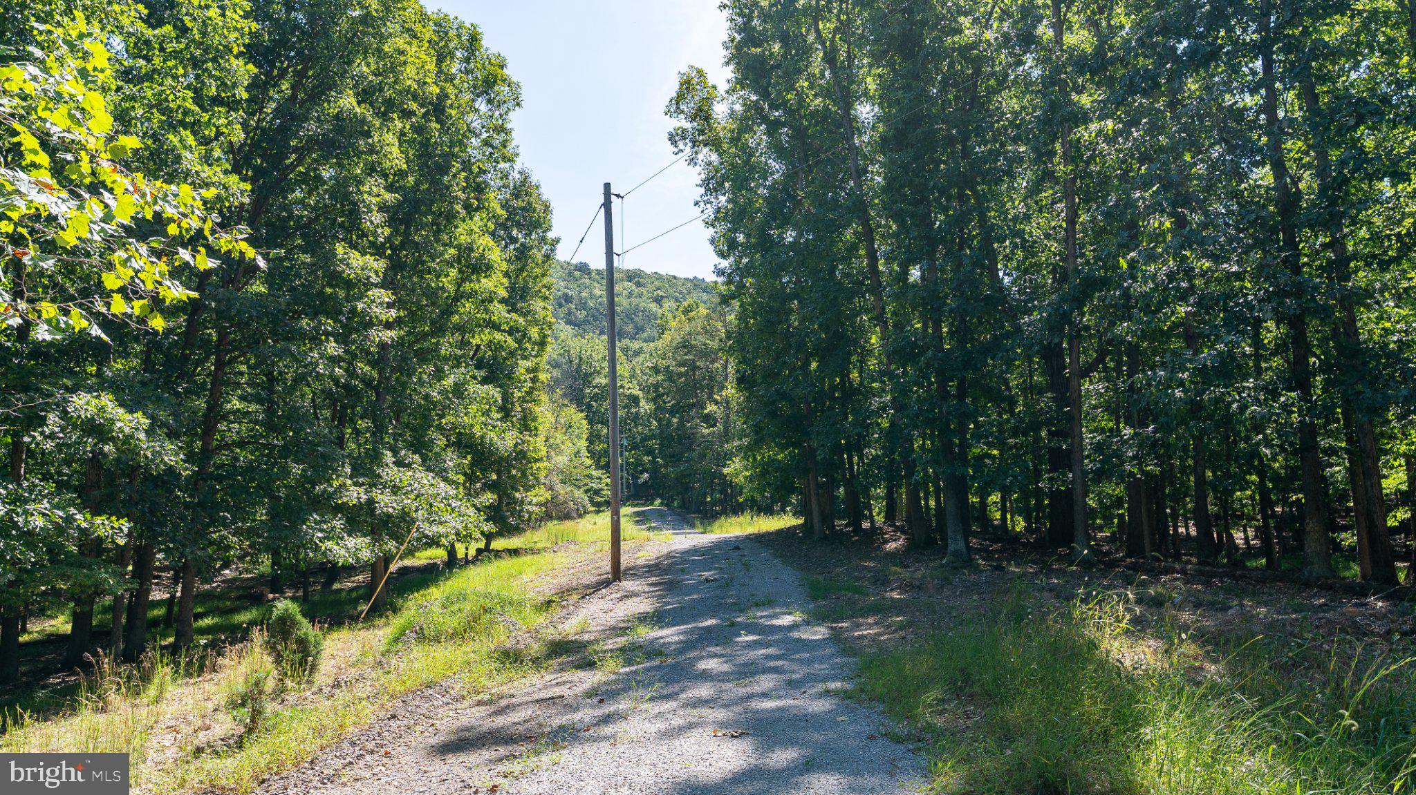 229 Inspiration Road Upper Tract, WV 26866 - Photo 9 of 30 Gallery Image 9