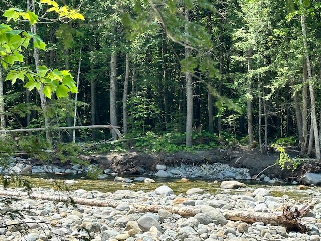 139 Rapid Stream Road Kingfield, ME 04947 - Photo 22 of 23 river 1