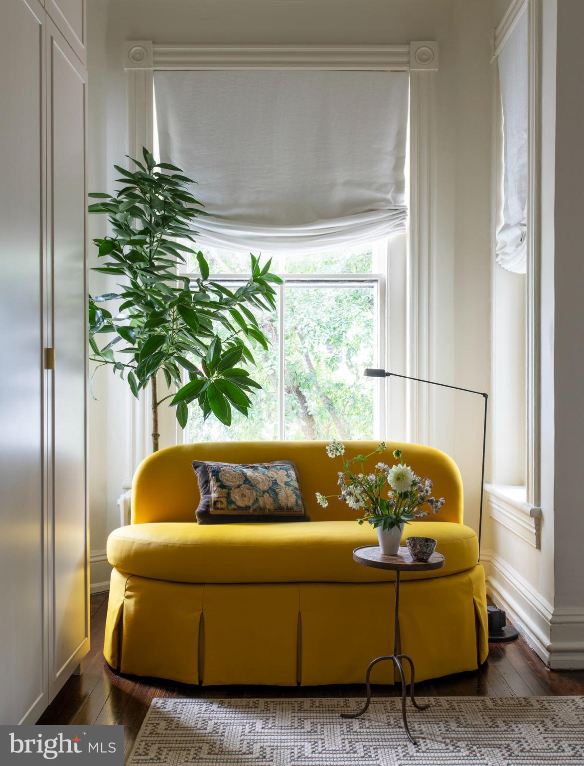 1333 30th Street Northwest Washington, DC 20007 - Photo 15 of 26 a living room with furniture and a potted plant