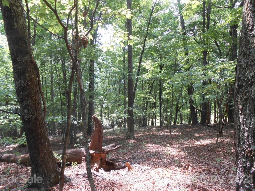 5-6 Lytle Mountain Road Marion, NC 28752 - Photo 3 of 7 Gallery Image 3