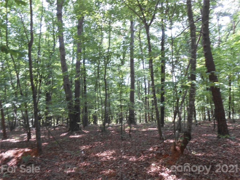 5-6 Lytle Mountain Road Marion, NC 28752 - Photo 4 of 7 Gallery Image 4
