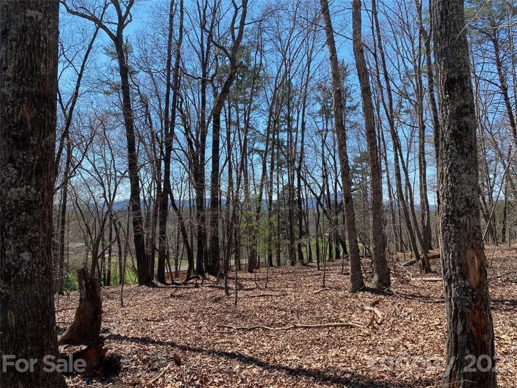 5-6 Lytle Mountain Road Marion, NC 28752 - Photo 5 of 7 Gallery Image 5