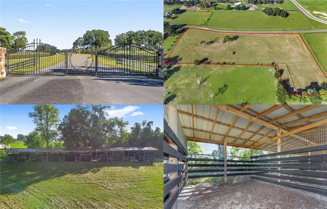 a view of a swimming pool with a yard