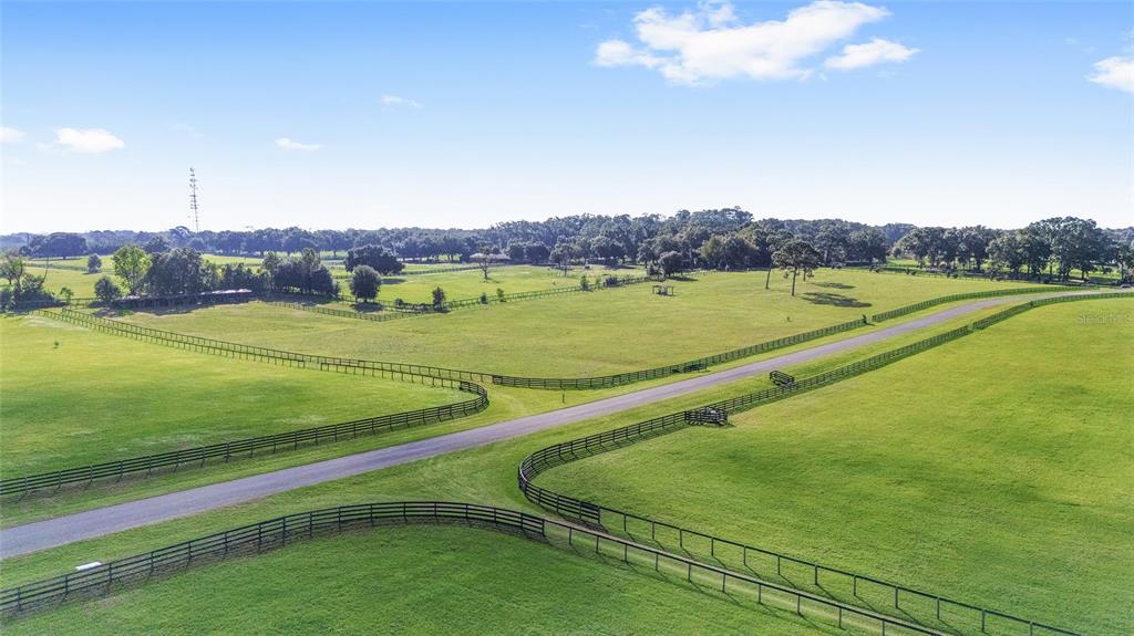 15269 Northeast 15th Court Citra, FL 32113 - Photo 17 of 17 a view of an outdoor space and a yard