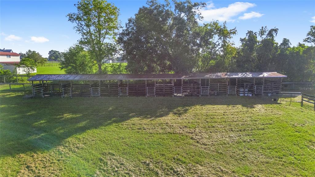 15269 Northeast 15th Court Citra, FL 32113 - Photo 7 of 17 a view of a yard with a large tree