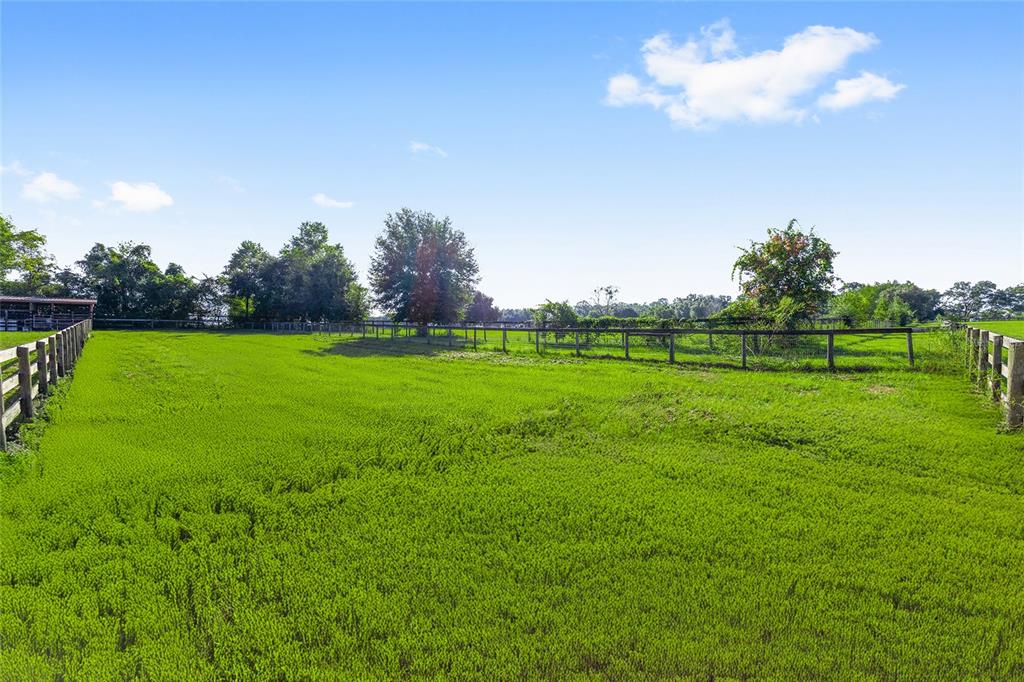 15269 Northeast 15th Court Citra, FL 32113 - Photo 9 of 17 a view of a golf course with a lake