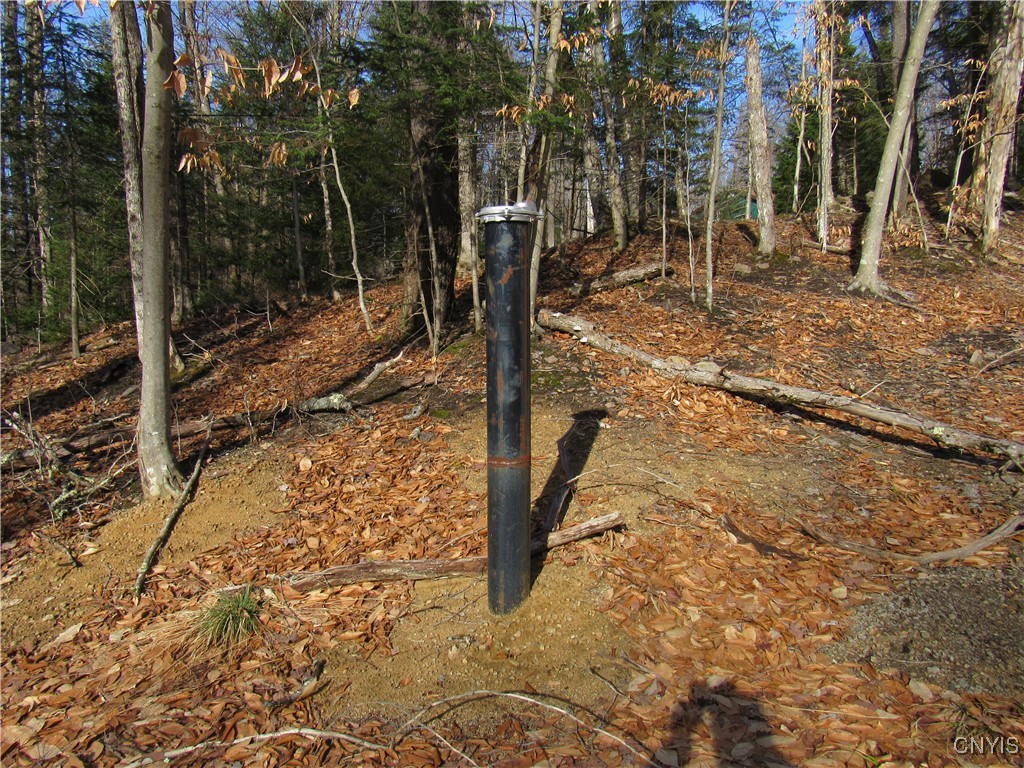 142 Joy Tract Road Old Forge, NY 13420 - Photo 13 of 20