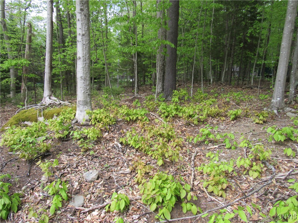 142 Joy Tract Road Old Forge, NY 13420 - Photo 14 of 20