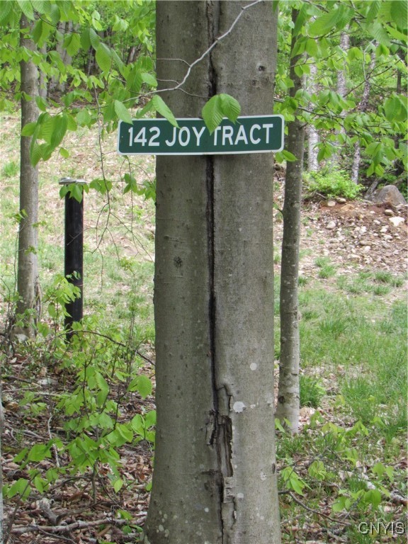 142 Joy Tract Road Old Forge, NY 13420 - Photo 2 of 20