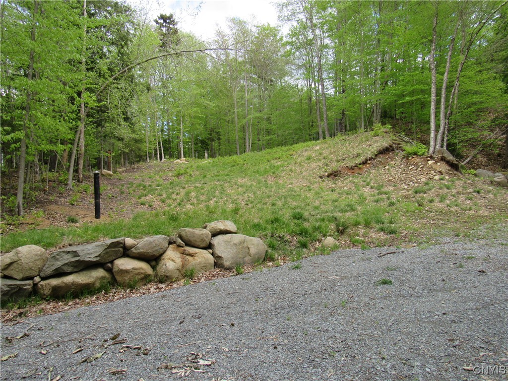 142 Joy Tract Road Old Forge, NY 13420 - Photo 5 of 20