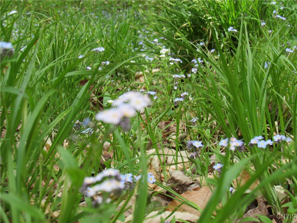 142 Joy Tract Road Old Forge, NY 13420 - Photo 7 of 20