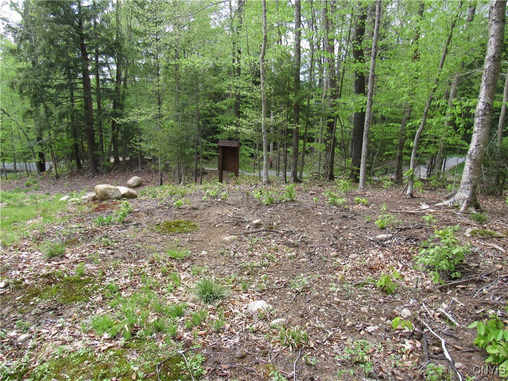 142 Joy Tract Road Old Forge, NY 13420 - Photo 9 of 20