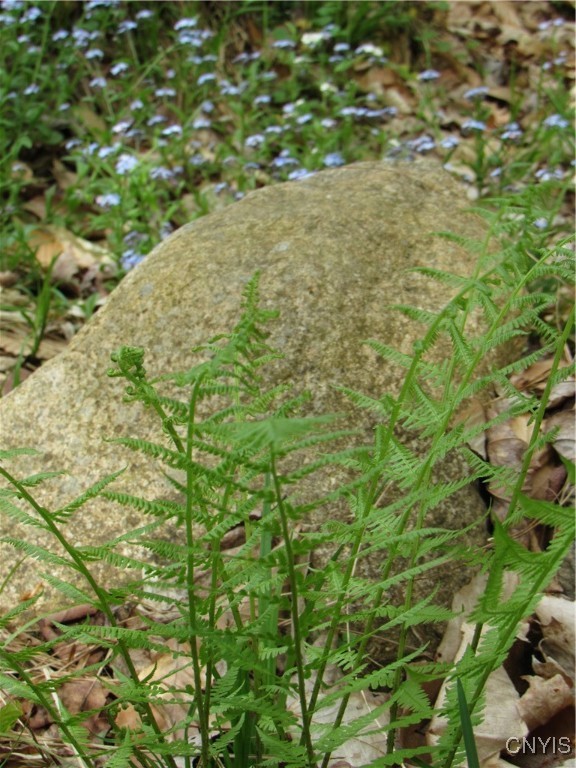 142 Joy Tract Road Old Forge, NY 13420 - Photo 10 of 20