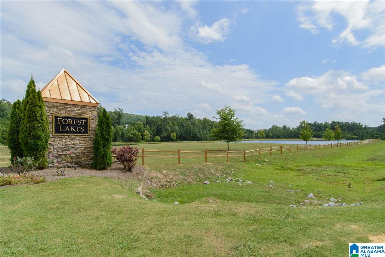 4064 Forest Lakes Road Sterrett, AL 35147 - Photo 32 of 33